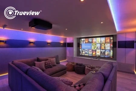 Uses of Interactive Flat Panel Display in Home Entertainment