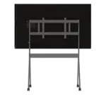 55 inch TrueBoard 01