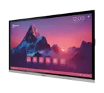 Interactive Panels