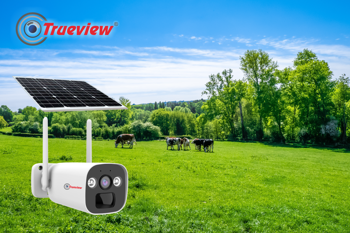 CCTV Camera with Solar Panel