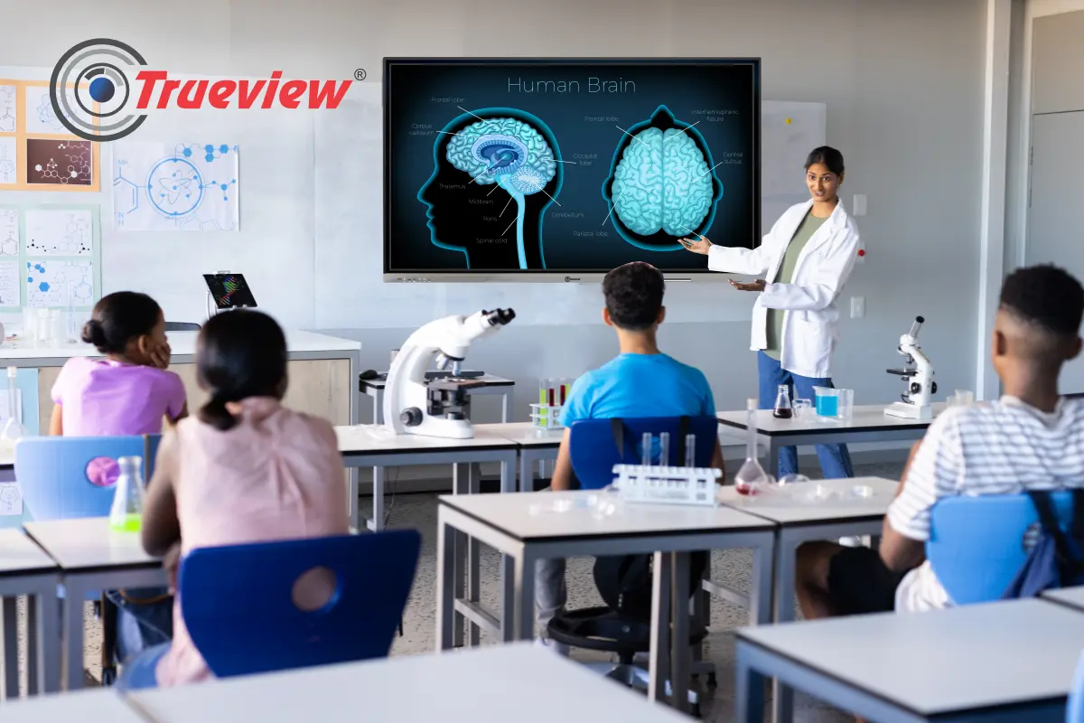 Smart Board for Classroom